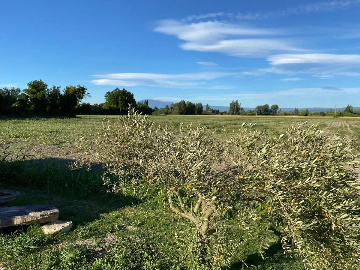 Location Gite Campagne En Provence - Vaucluse Pernes-les-Fontaines Vakantiehuis